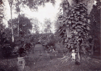 Foto van achtererf controleurswoning Adrien Henri MG (1873-1965) in Salatiga Midden Java